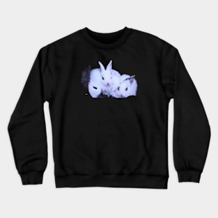 The rabbit Ladies / Swiss Artwork Photography Crewneck Sweatshirt